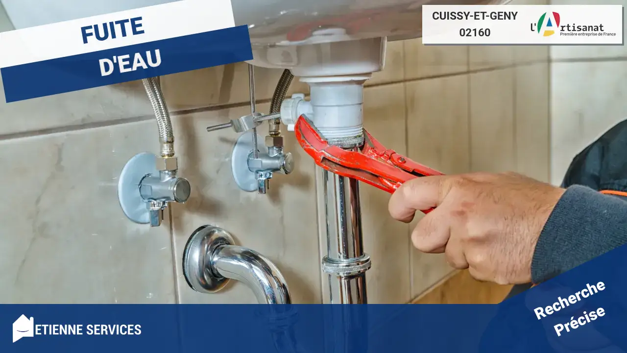Spécialistes de la Réparation de Fuite d'Eau Rapide à Cuissy-et-Geny