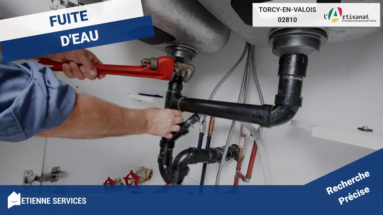 Réparation Rapide de Fuite d'Eau par nos Artisans Experts à Torcy-en-Valois
