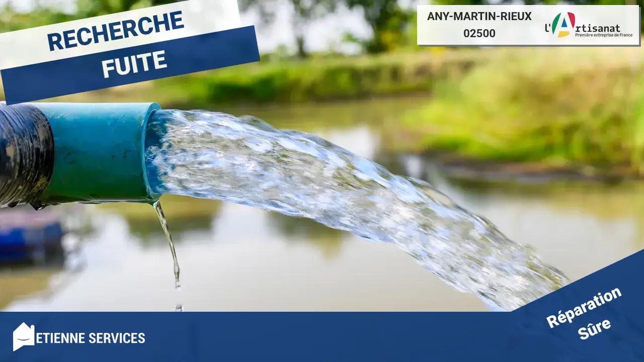 Artisans Spécialistes en Réparation de Fuite d'Eau à Any-Martin-Rieux