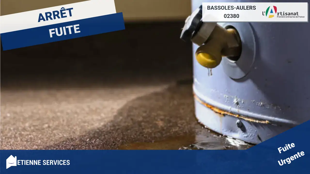 Experts en Réparation de fuite d'eau rapide à Bassoles-Aulers (02380)