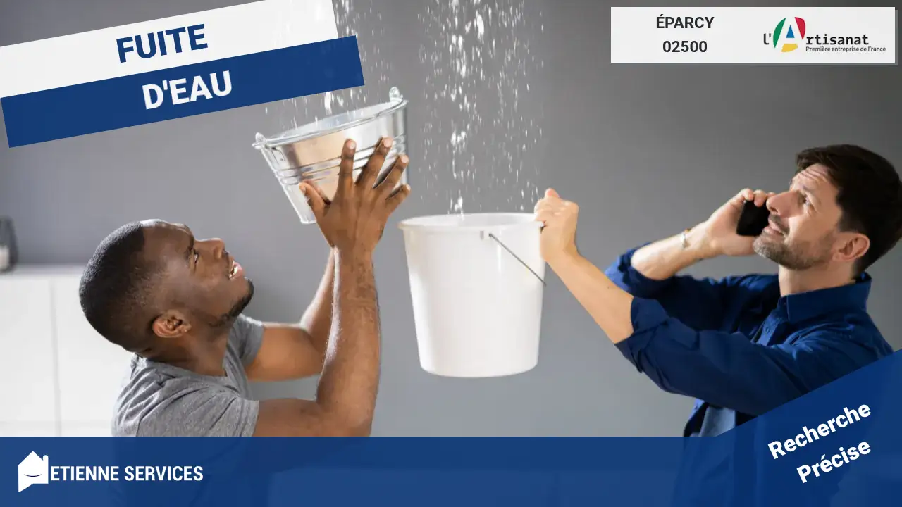 Artisans experts en réparation et détection de fuite d'eau à Éparcy