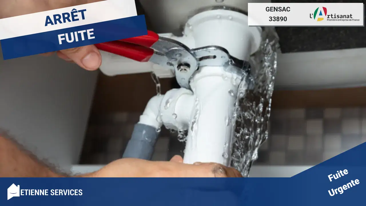 Artisans experts en réparation de fuite d'eau à Gensac