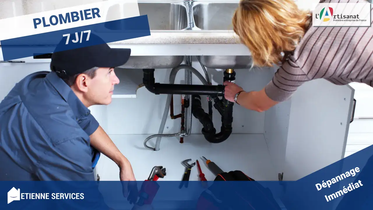 Plomberie d'Urgence Innovante à Paray-douaville (78660) : Dépannage Haute Technologie et Expertise Certifiée