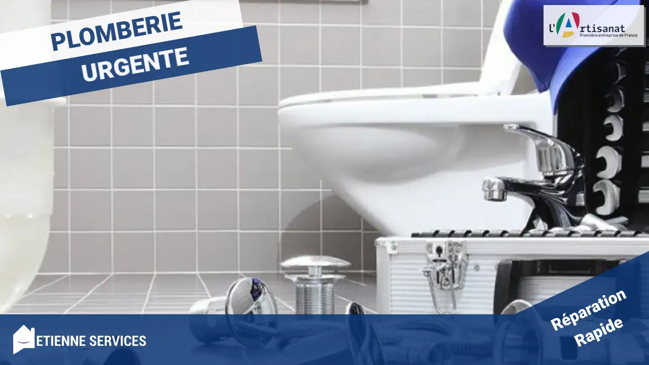 Votre Expert Plomberie d'Urgence et Préventif à Moloy (21120) : Solutions Durables et Diagnostics Précis