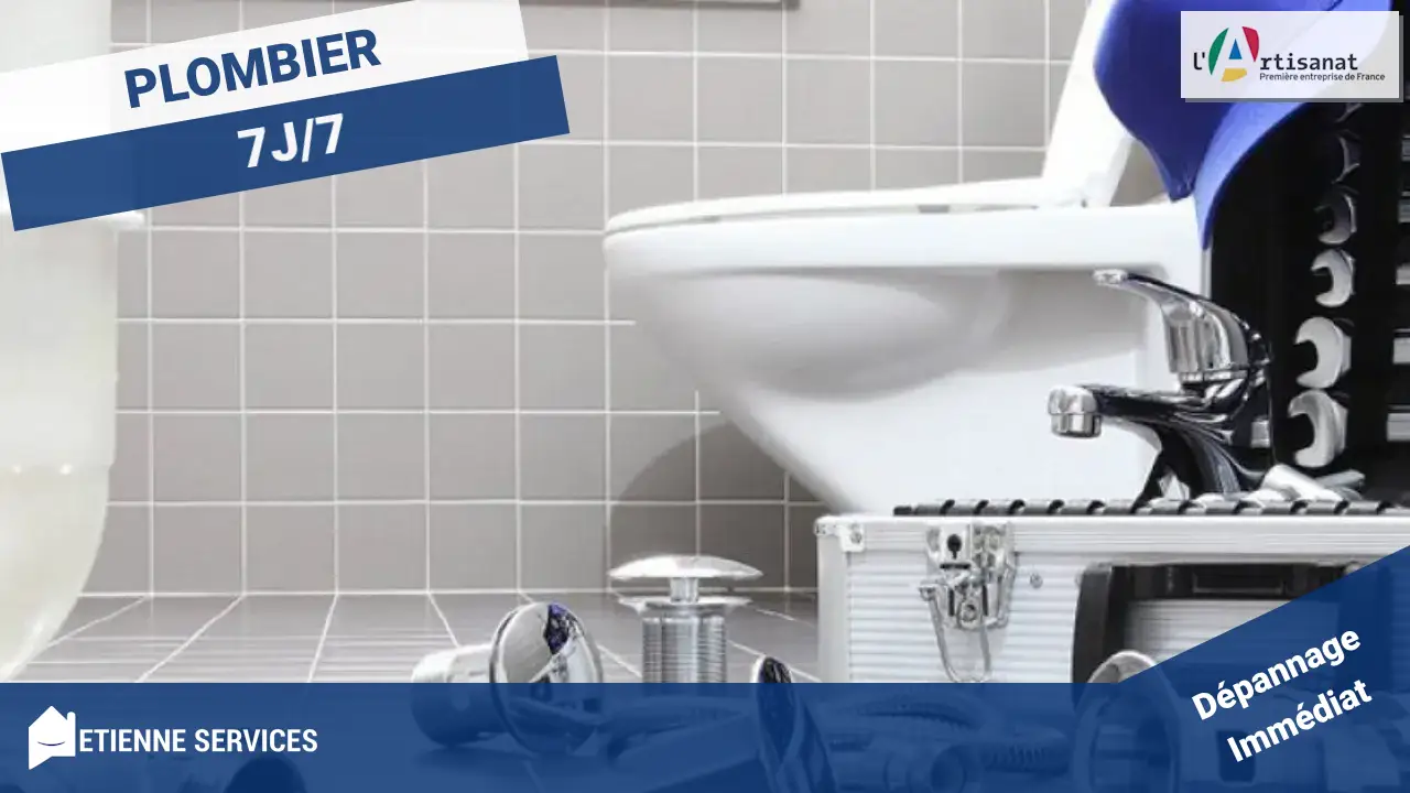 Plombier Innovant à Montjustin (04110) : Expertise et Solutions Modernes pour Vos Urgences !