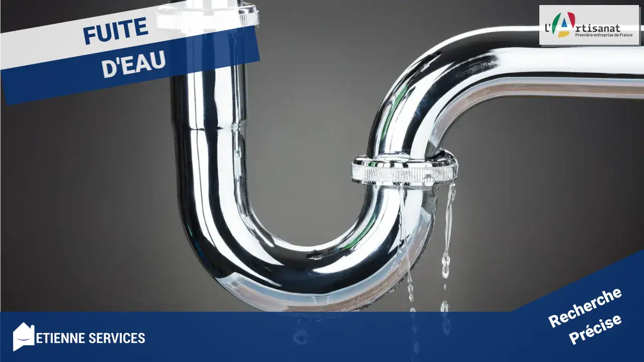 Plombier Expert à Fromont (77760) : Votre Partenaire Fiable pour Dépannage, Fuites et Installations Certifiées