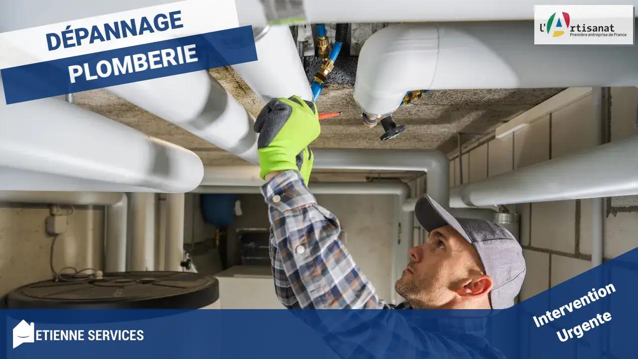 Plomberie à Trugny (21250) : Prévention, Dépannage Rapide & Audit Complet pour Votre Tranquillité