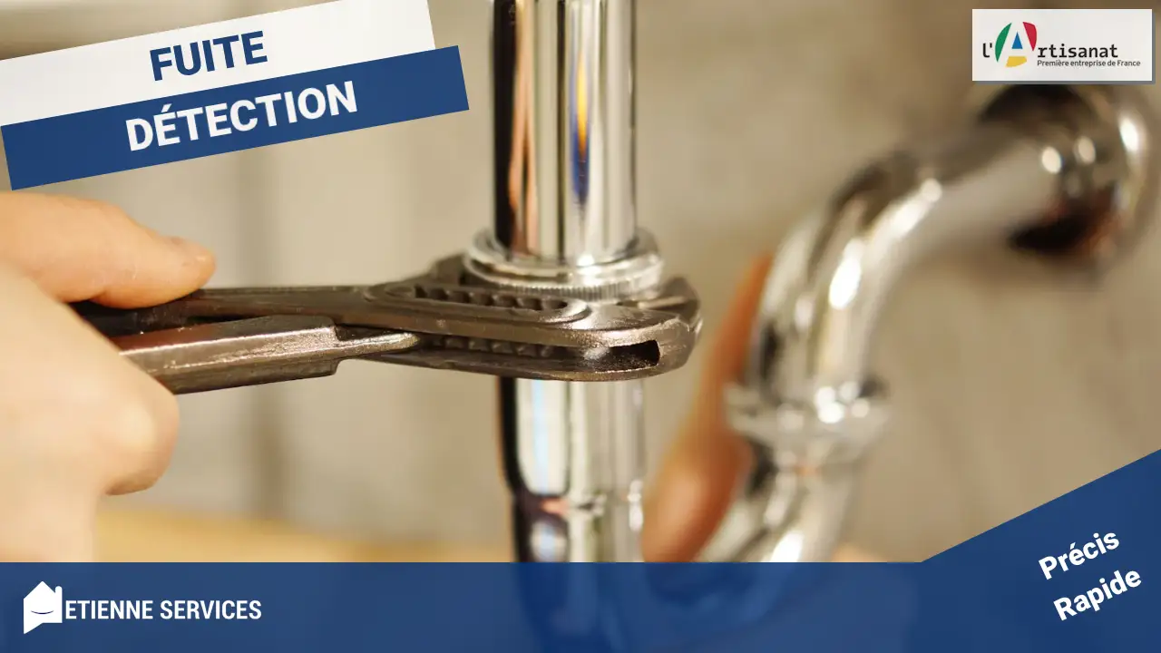 Fuite d'eau à Sigonce (04300) ? Nos experts la traquent avec précision pour préserver votre habitat !