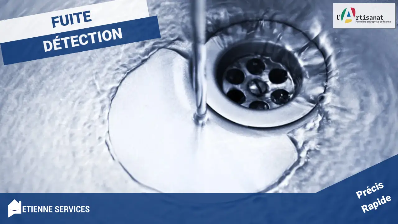 Recherche de Fuite d'Eau à Demandolx 04120 : L'Expertise Fiable et Reconnue pour Votre Tranquillité