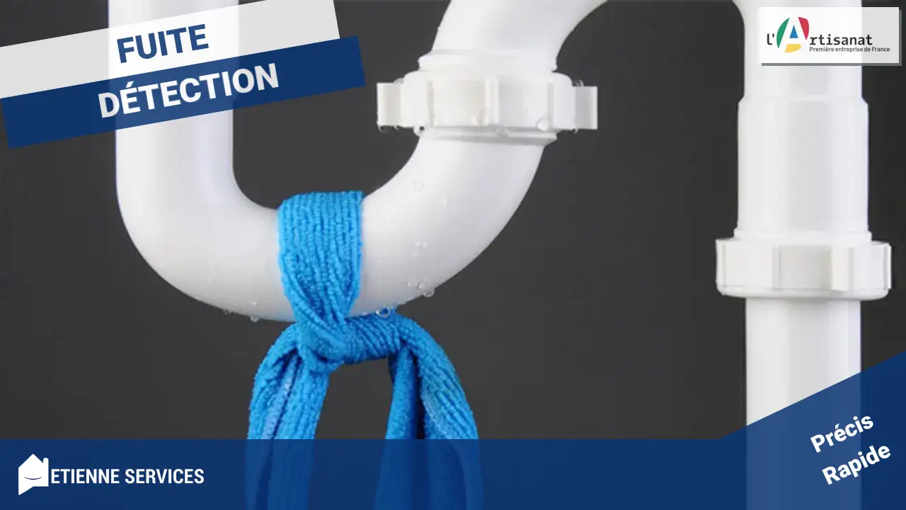 Fuite d'eau à Neufmoutiers-en-brie (77610) ? Des Pros de Confiance pour une Recherche Précise et Rapide