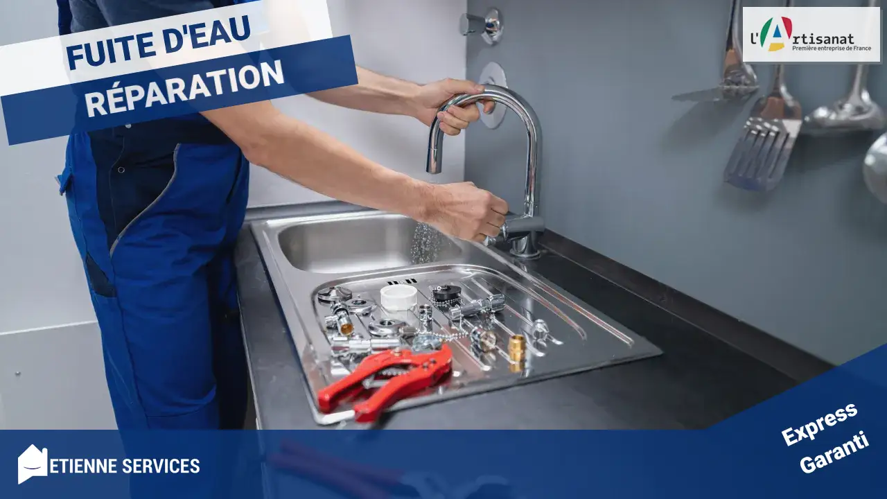 Urgence fuite d'eau à Mandres-les-roses (94520) : diagnostic précis et conseils de prévention d'experts !