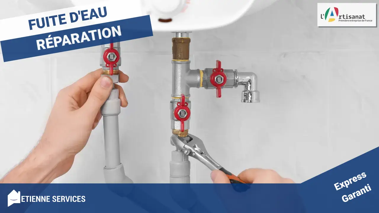 Fuite d'eau à Dizy-le-gros (02340) : L'Innovation à Votre Service pour un Dépannage Efficace