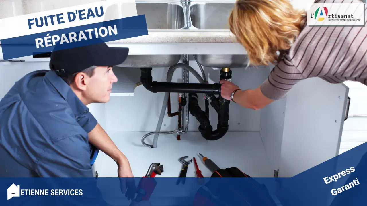 Fuite d'eau à Fromont (77760) ? Diagnostiquez et prévenez les dégâts avec nos experts !