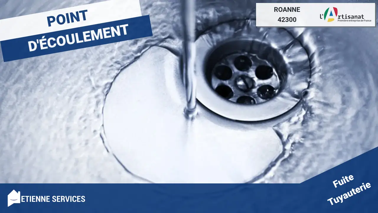 Spécialistes de la Réparation de Fuite d'Eau à Roanne (42300)