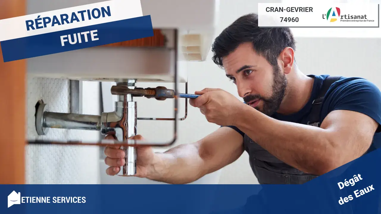 Réparation rapide de fuite d'eau par nos meilleurs plombiers à Cran-Gevrier-74960