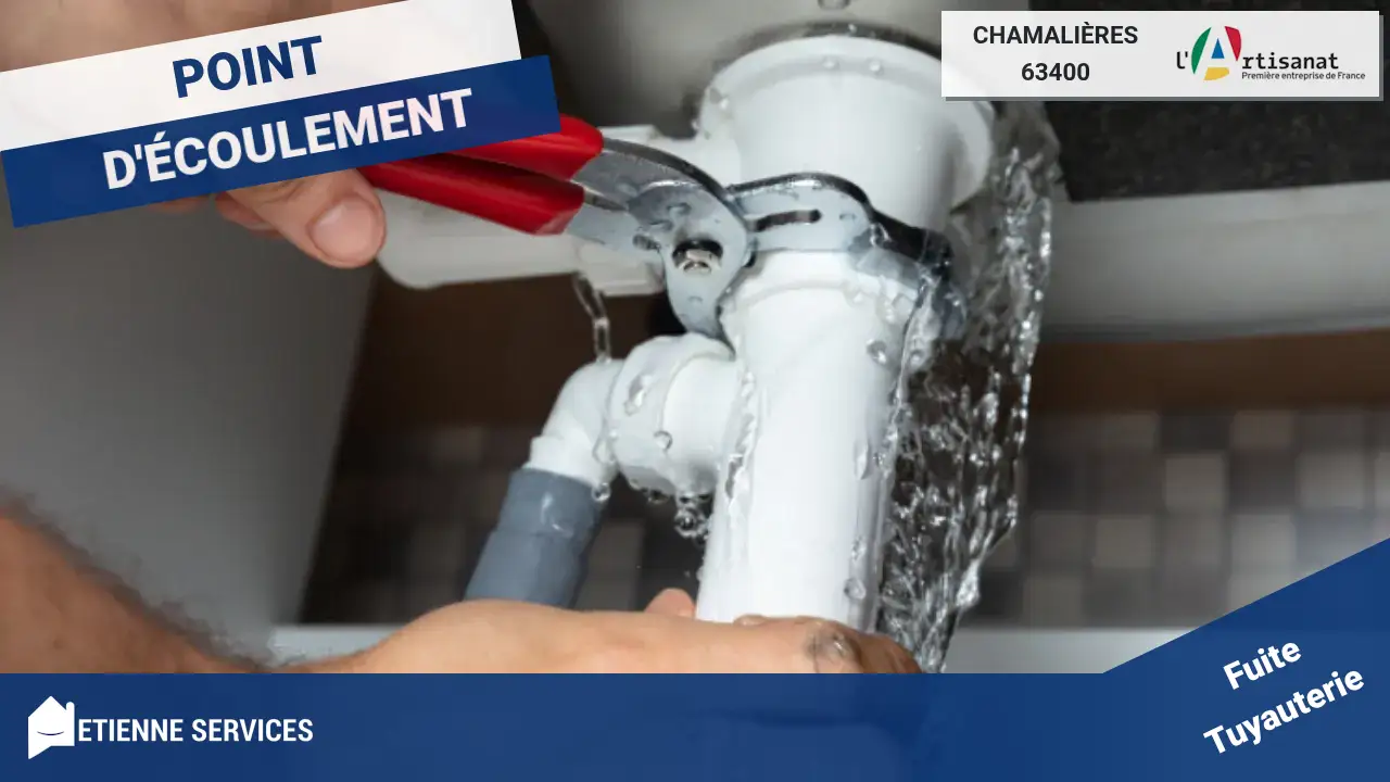 Les meilleurs spécialistes de la réparation de fuite d'eau à Chamalières