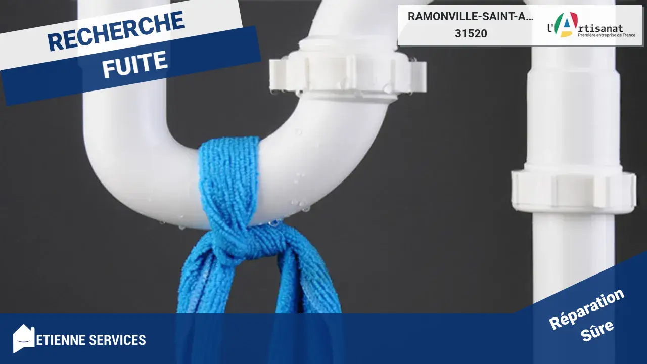 Experts en réparation de fuite d'eau à Ramonville-Saint-Agne