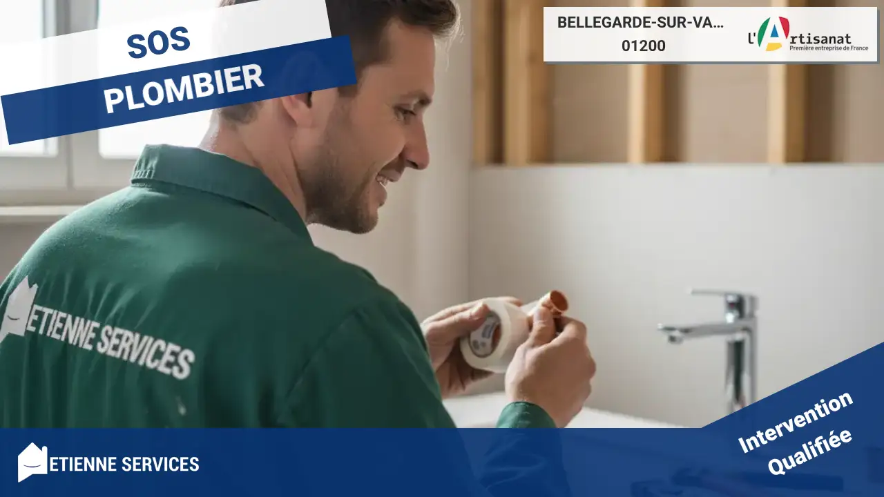 Les meilleurs experts en dépannage et installation de plomberie à Bellegarde-sur-Valserine