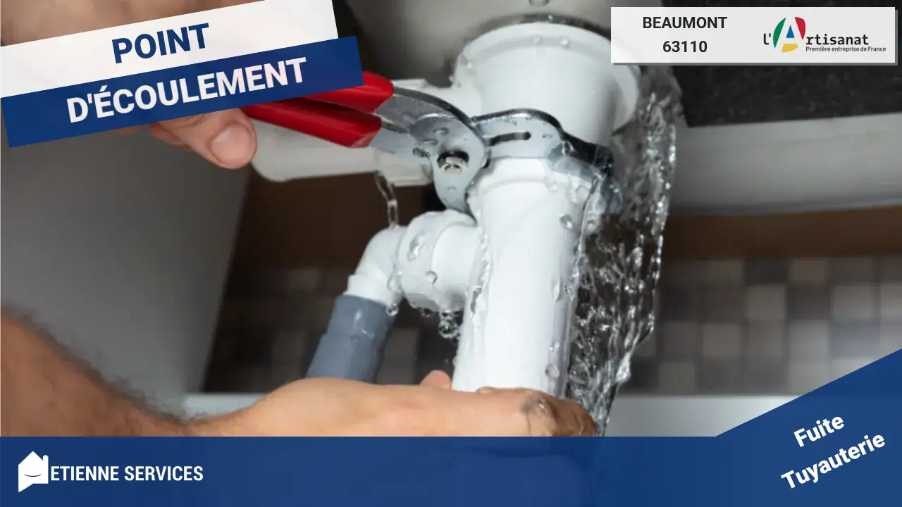 Spécialistes de la Réparation de Fuite d'Eau à Beaumont et ses Environs