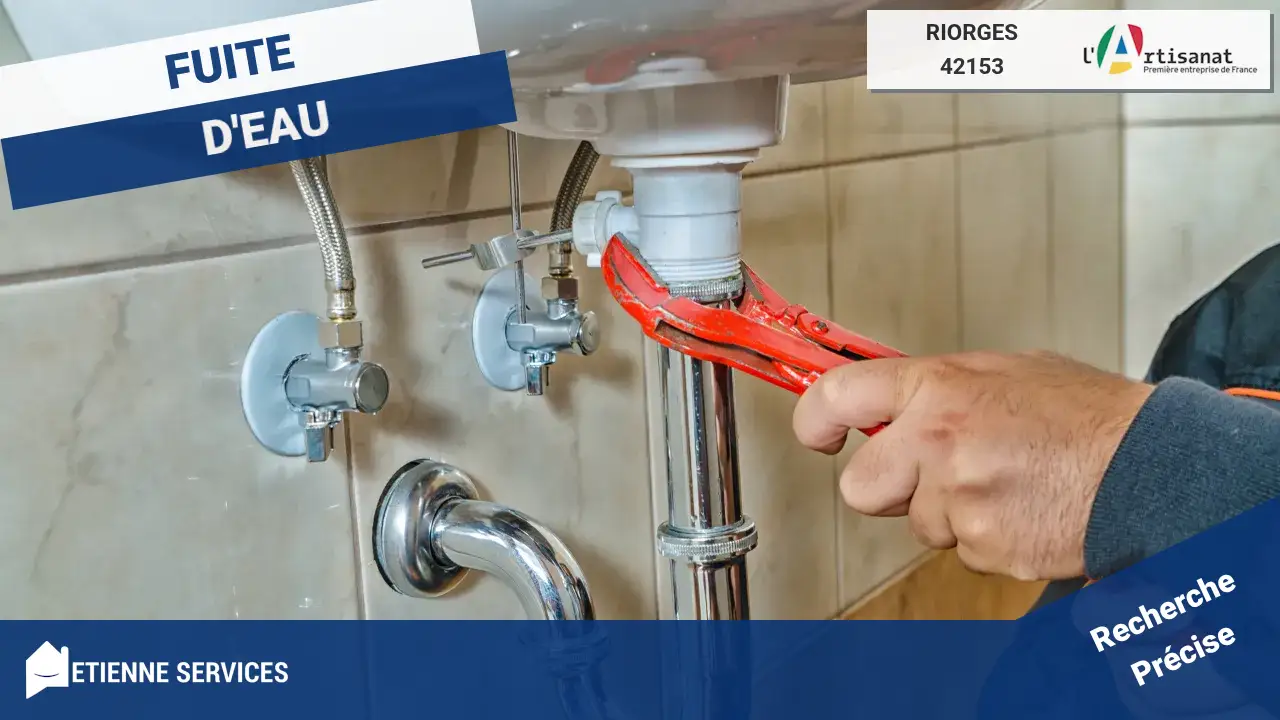 Spécialistes de la Réparation de Fuite d'eau à Riorges, Intervention Rapide