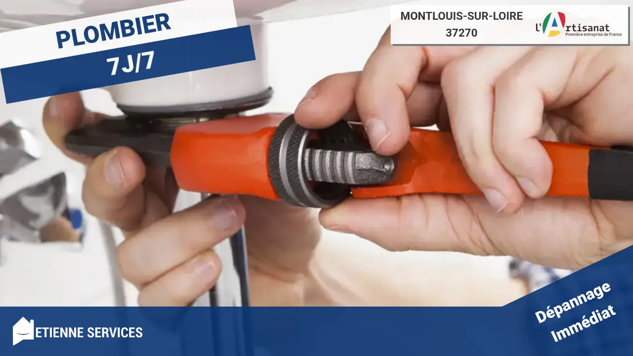 Les Meilleurs Experts du Dépannage et Installation en Plomberie à Montlouis-sur-Loire