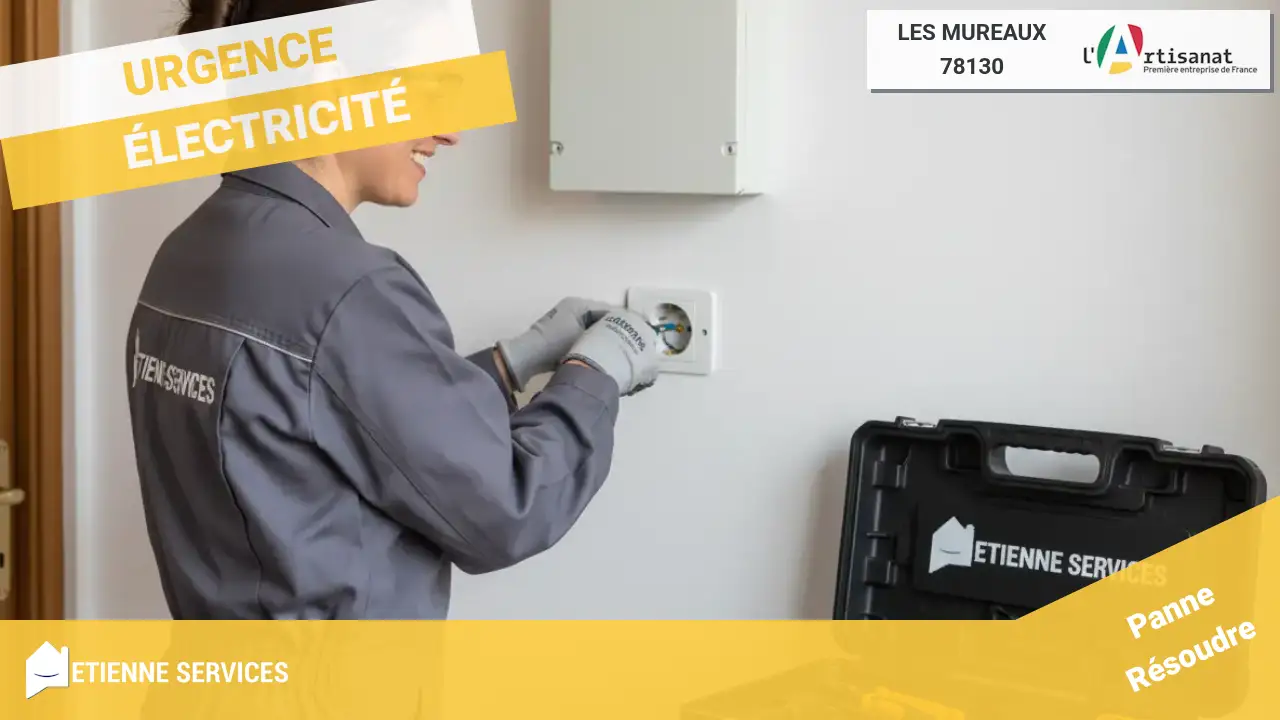 Dépannage et installation par nos experts électriciens à LES MUREAUX