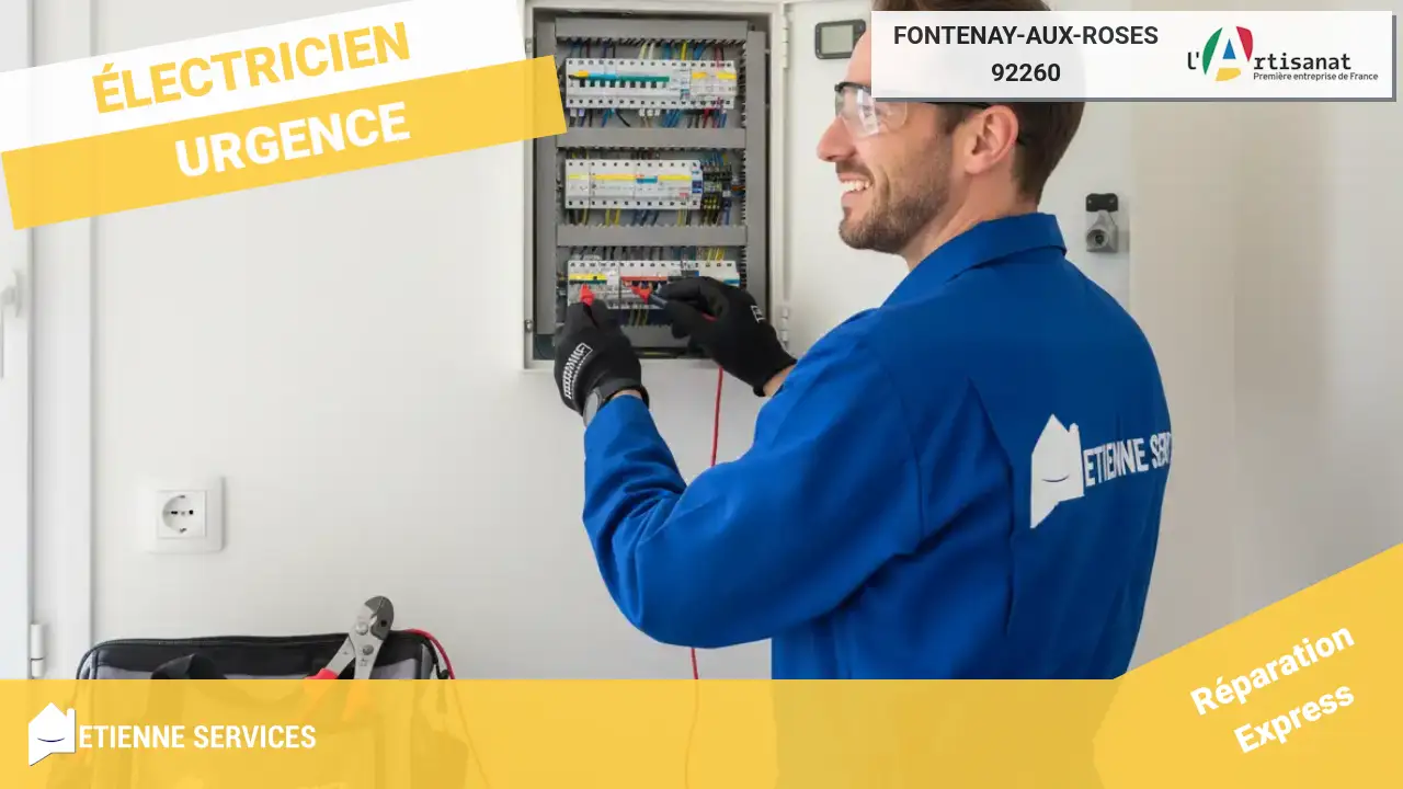 Les Meilleurs Experts en Dépannage et Installation Électrique à Fontenay-aux-Roses