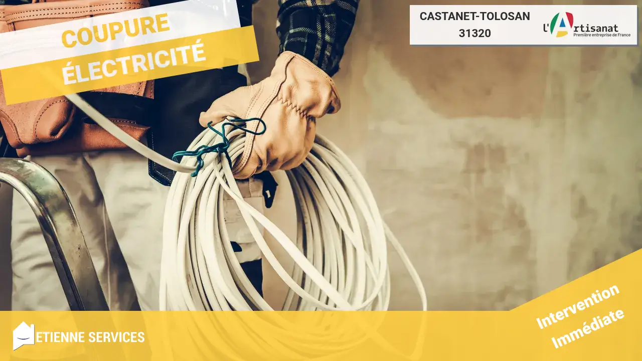 Les meilleurs experts en dépannage et installation électrique à Castanet-Tolosan (31320)