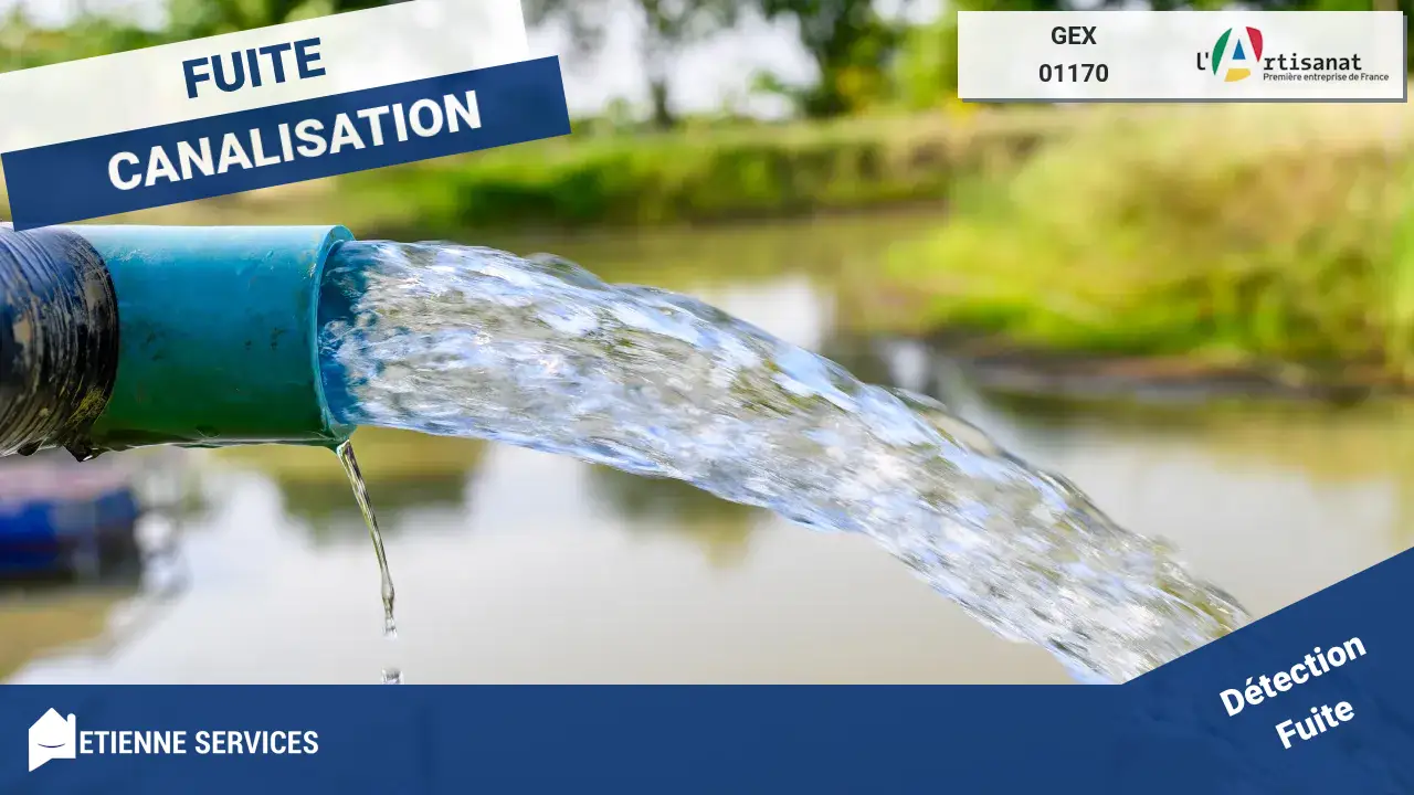 Experts en Réparation de Fuite d'Eau et Recherche de Fuite à Gex (01170)