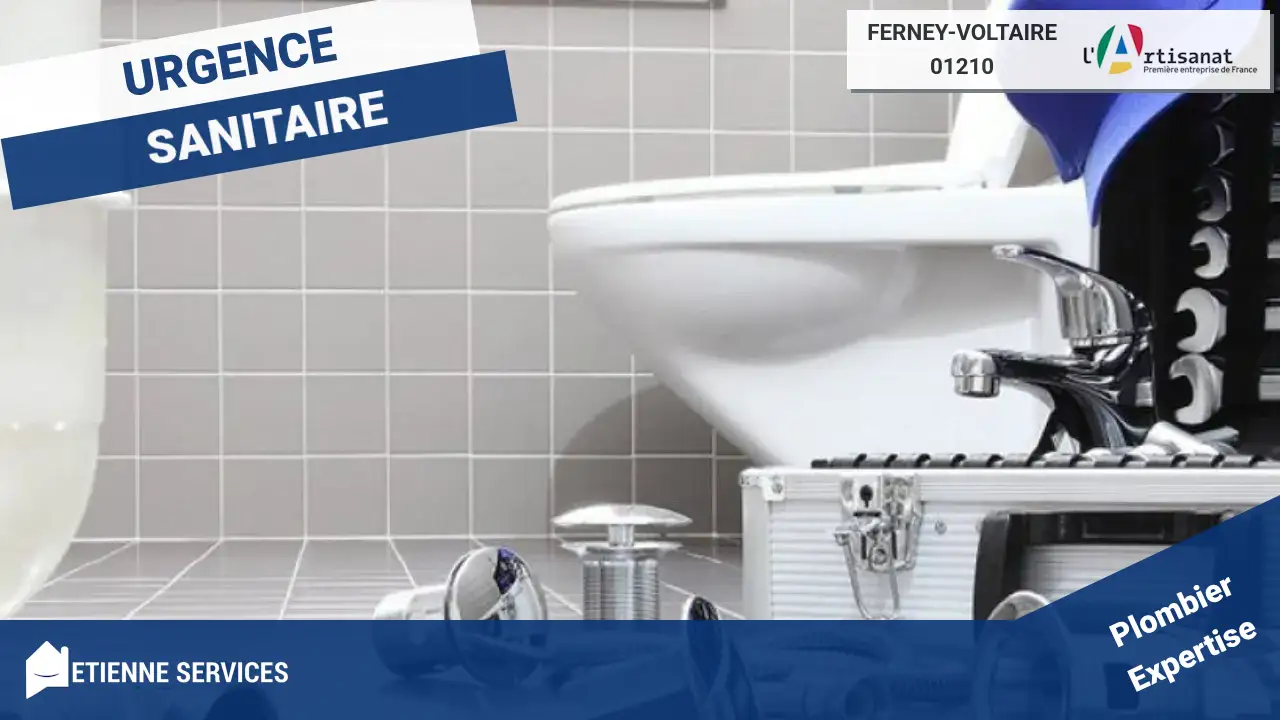 Les meilleurs artisans pour le dépannage et l'installation de plomberie à Ferney-Voltaire