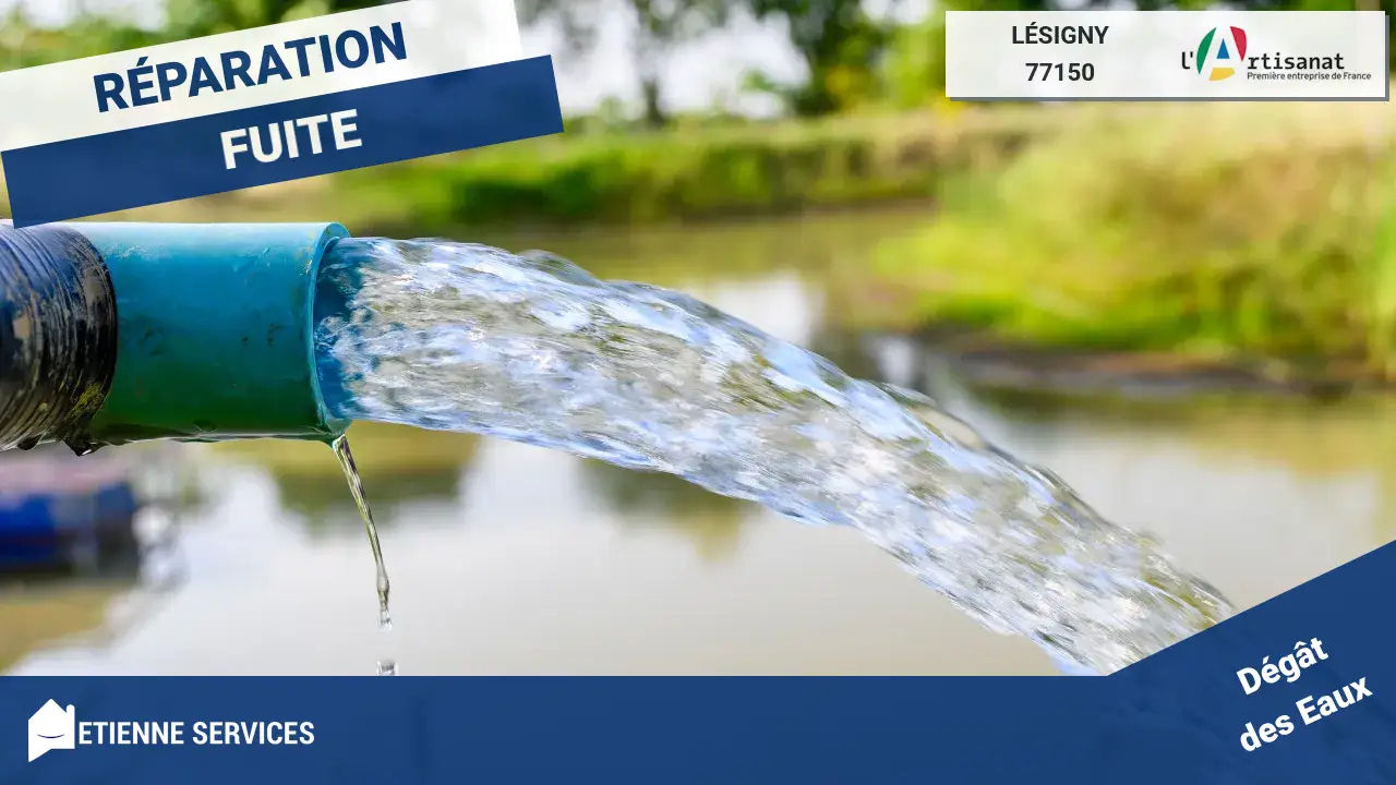 Les Spécialistes Incontestés de la Réparation de Fuite d'Eau à Lésigny