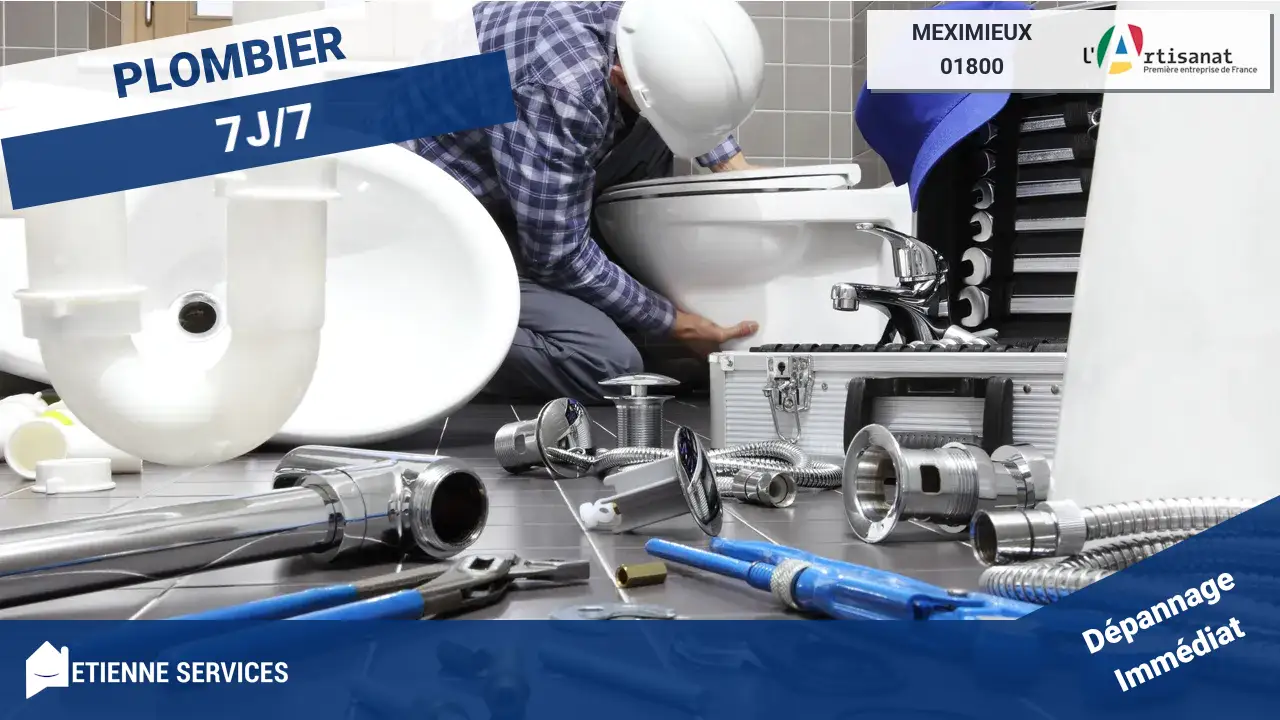 Les Meilleurs Experts en Dépannage et Installation de Plomberie à Meximieux (01800)