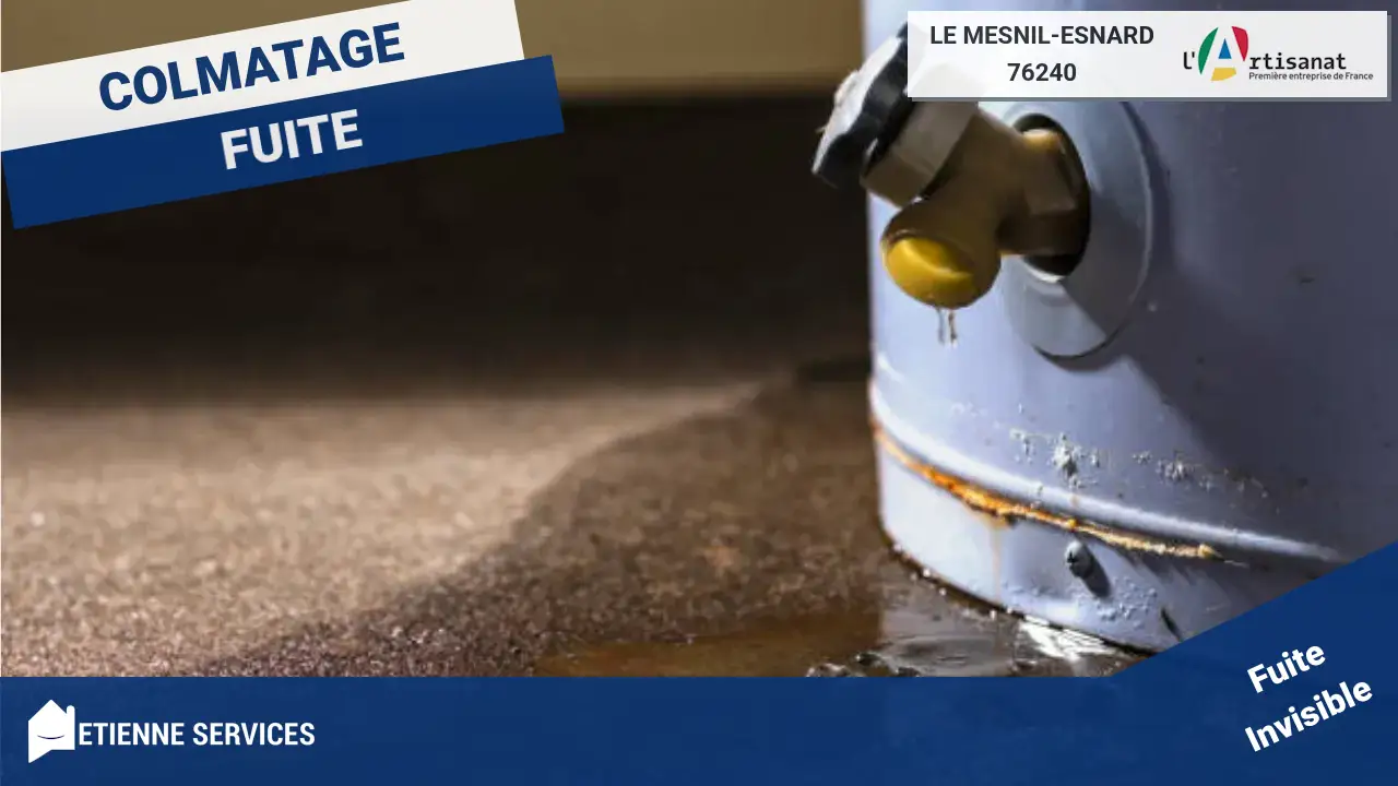 Réparation de Fuite d'Eau par des Spécialistes à Le Mesnil-Esnard