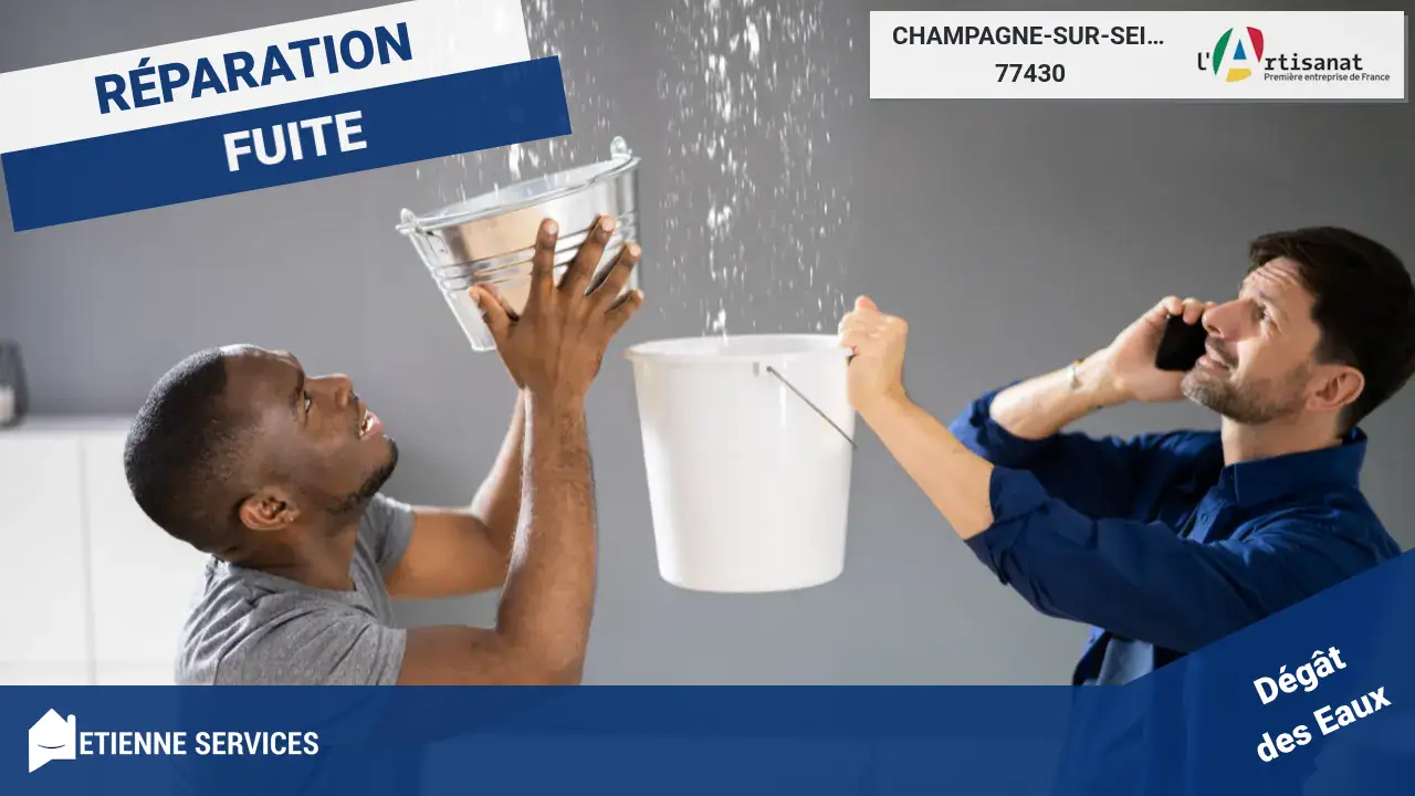 Artisans spécialistes en réparation de fuite d'eau à Champagne-sur-Seine