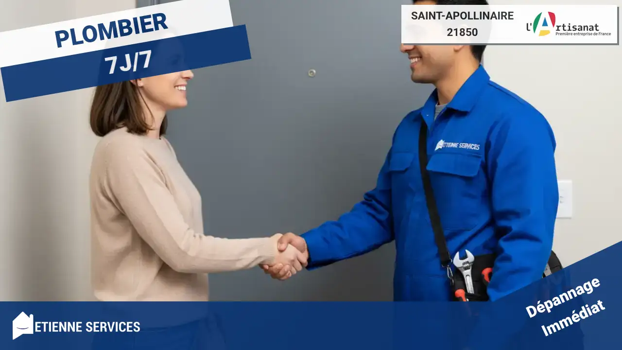Meilleurs Experts en Dépannage et Installation de Plomberie à Saint-Apollinaire (21850)