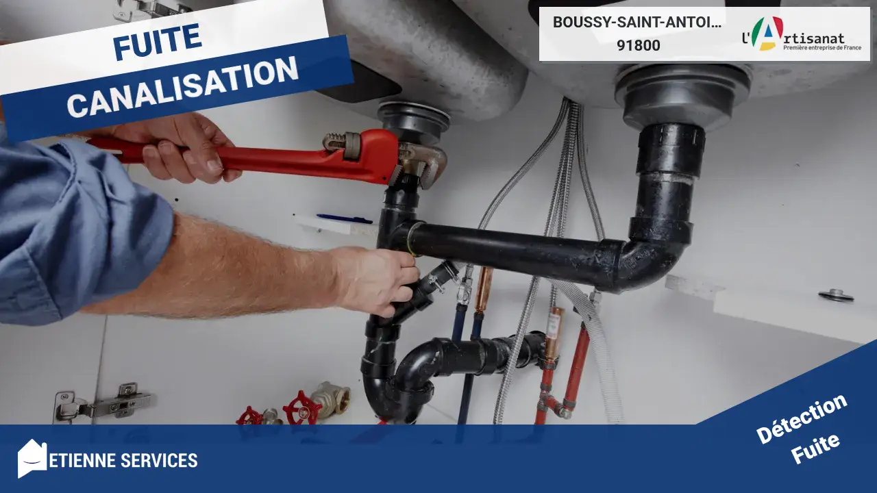 Meilleurs Artisans pour la Réparation de Fuite d'eau à Boussy-Saint-Antoine