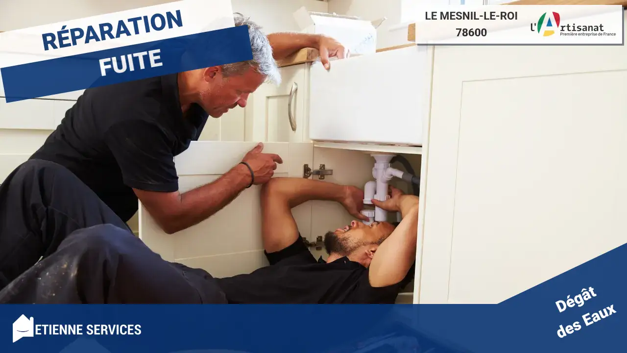 Experts en Réparation de Fuite d'eau Rapide à Le Mesnil-le-Roi