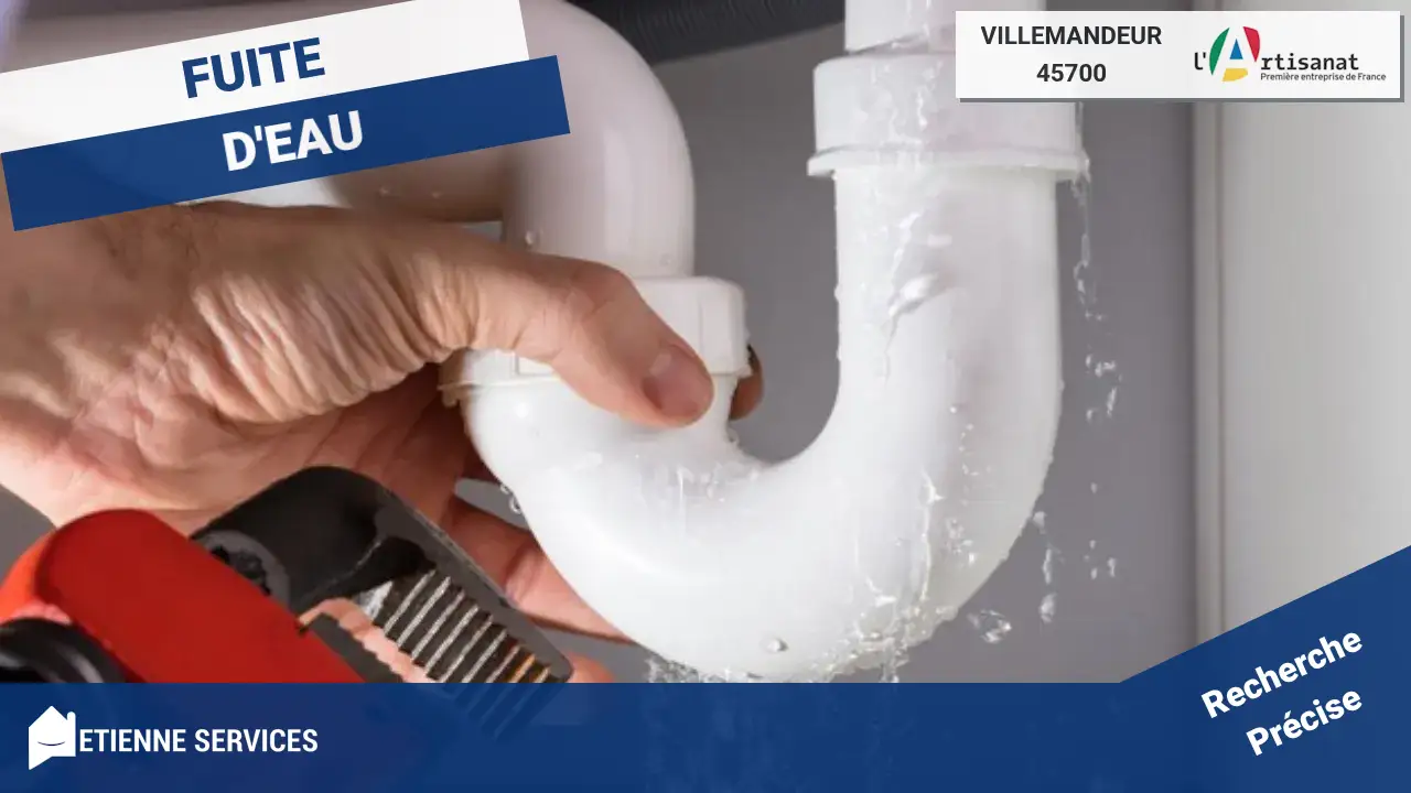 Artisans Spécialistes en Réparation de Fuite d'Eau à Villemandeur