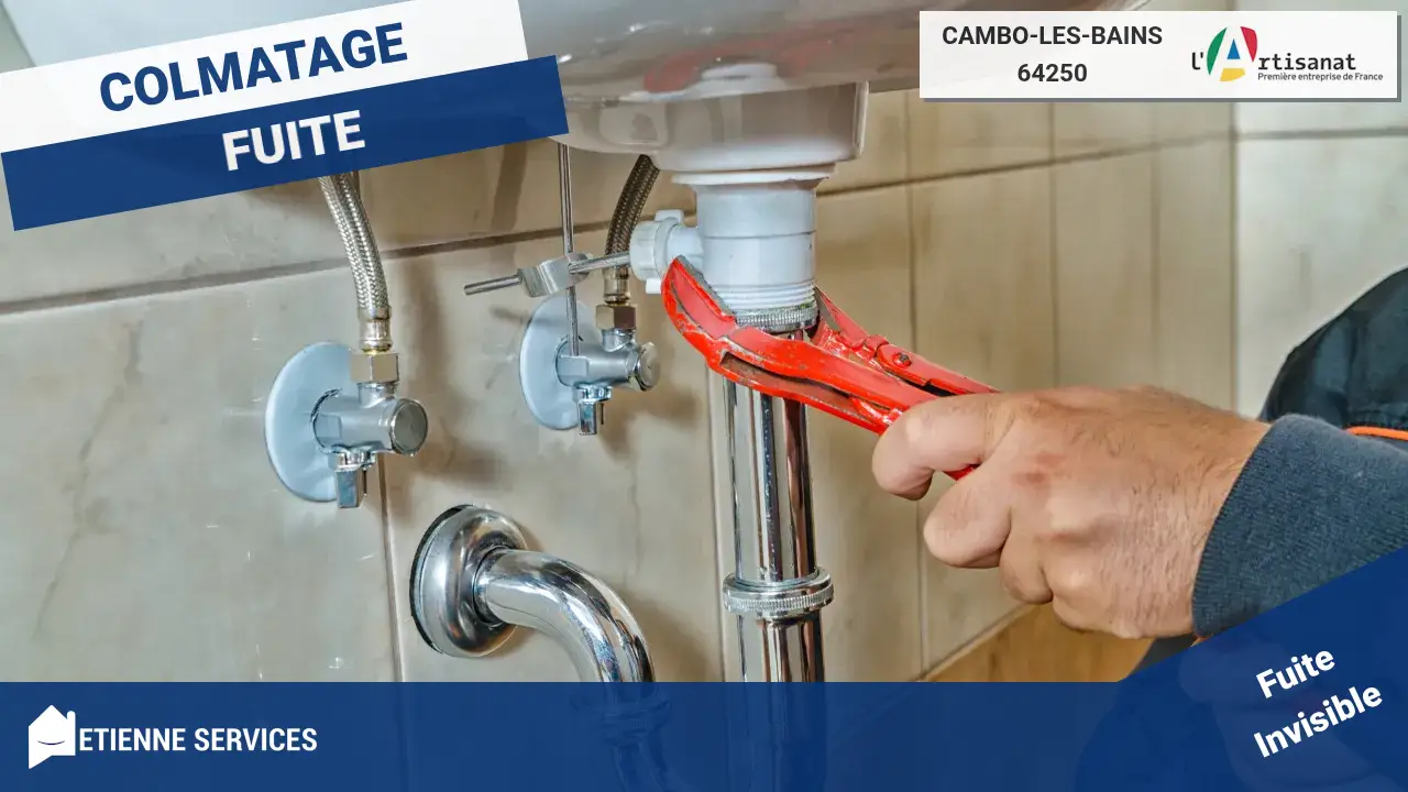 Réparation de Fuite d'Eau par les Meilleurs Artisans Plombiers à Cambo-les-Bains