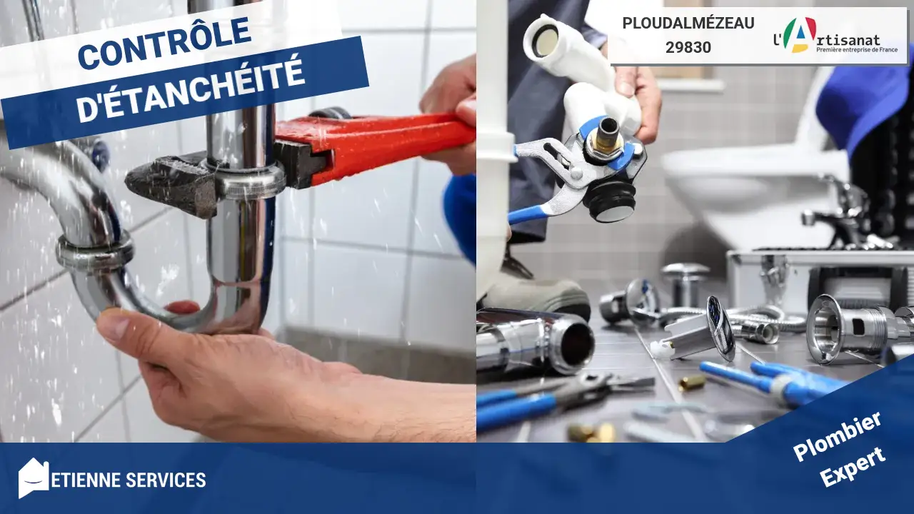 Intervention d'Experts pour la Réparation de Fuite d'Eau à Ploudalmézeau