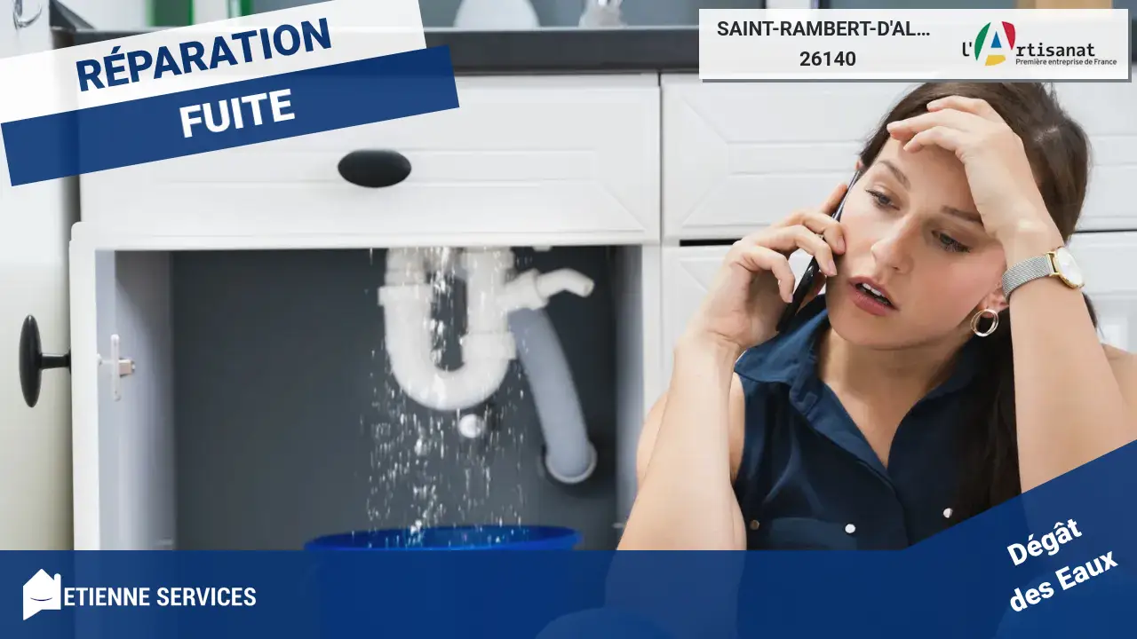 Spécialistes de la Réparation de Fuite d'Eau à Saint-Rambert-d'Albon