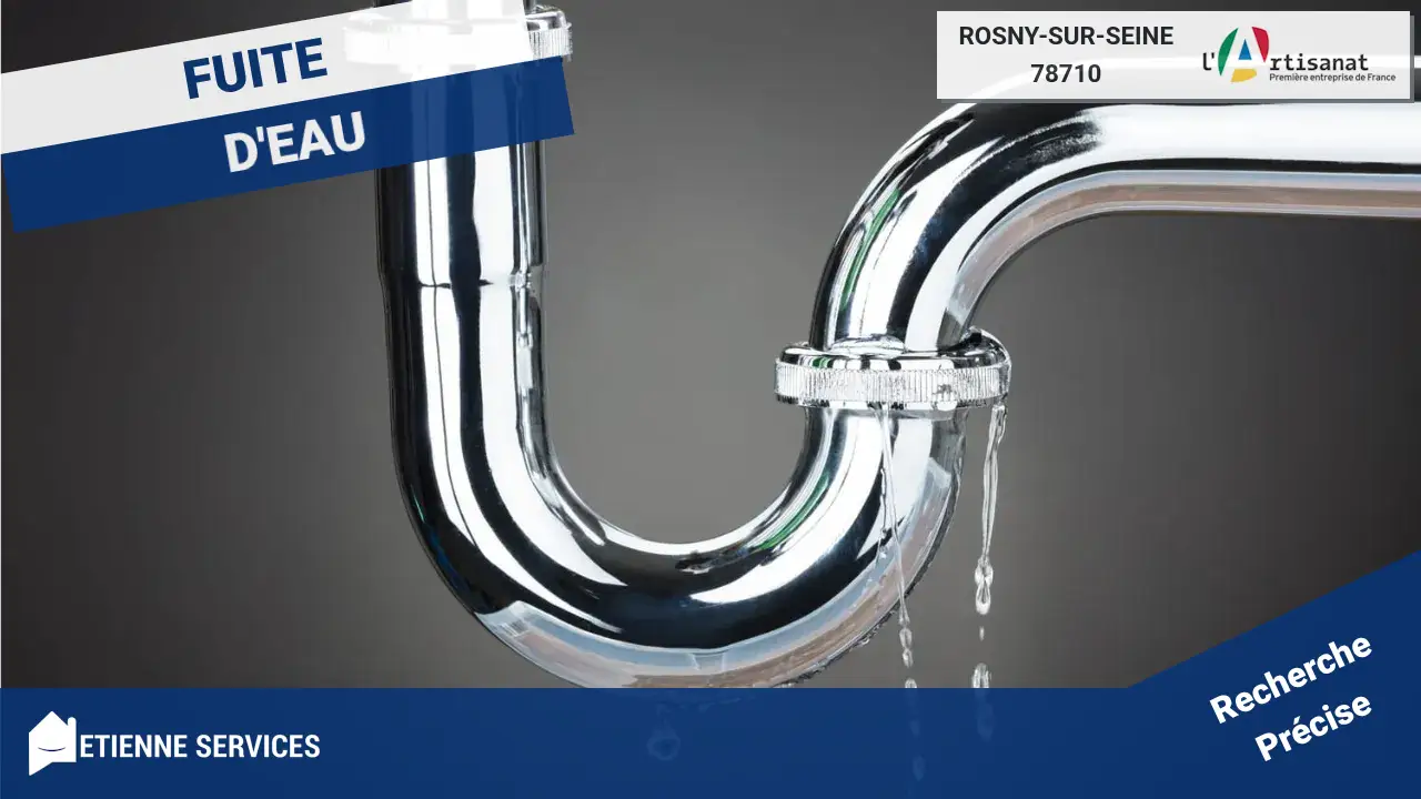 Meilleurs Artisans pour la Réparation de Fuite d'eau à Rosny-sur-Seine (78710)