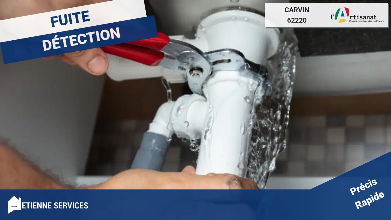 Votre Expert en Recherche de Fuite à Carvin : Nos Meilleurs Artisans à votre service