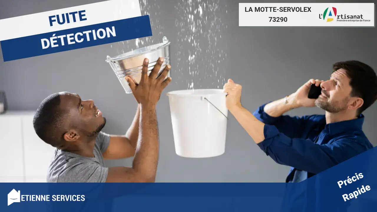 Vos meilleurs artisans pour une recherche de fuite experte à La Motte-Servolex