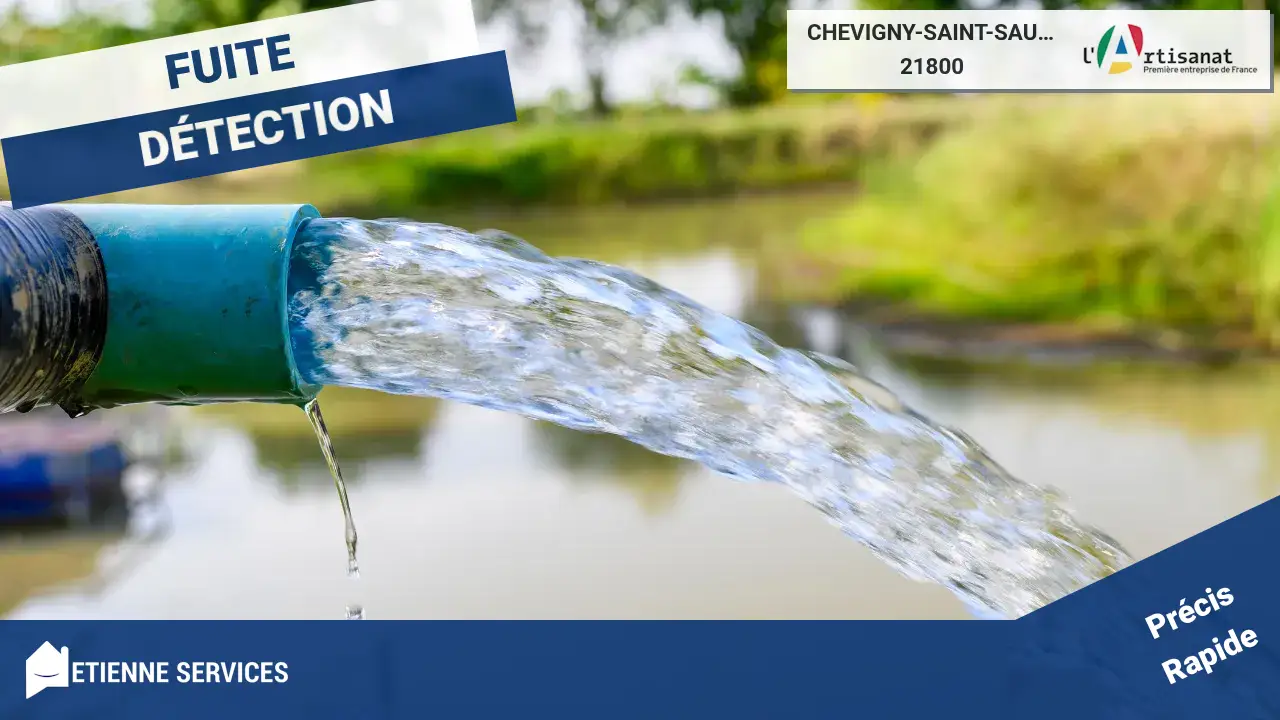 Votre Partenaire de Confiance pour Toute Recherche de Fuite à Chevigny-Saint-Sauveur