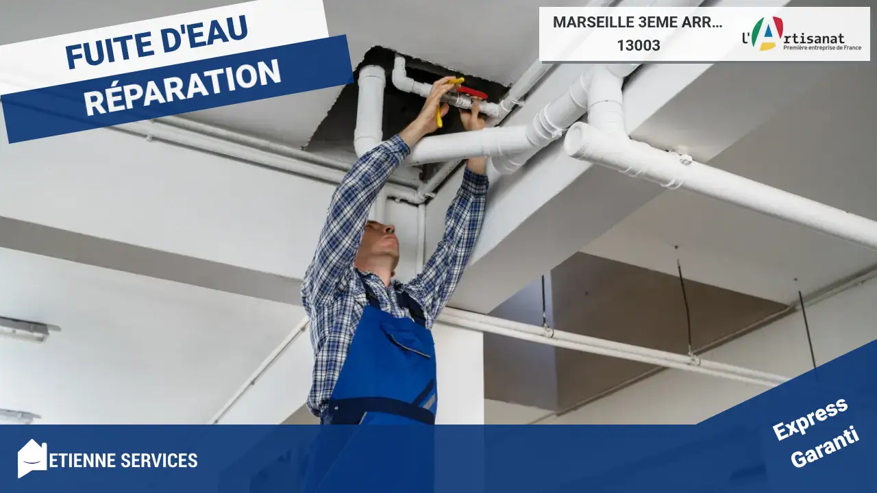 Etienne Services : Votre engagement pour une réparation de fuite d'eau sereine à Marseille