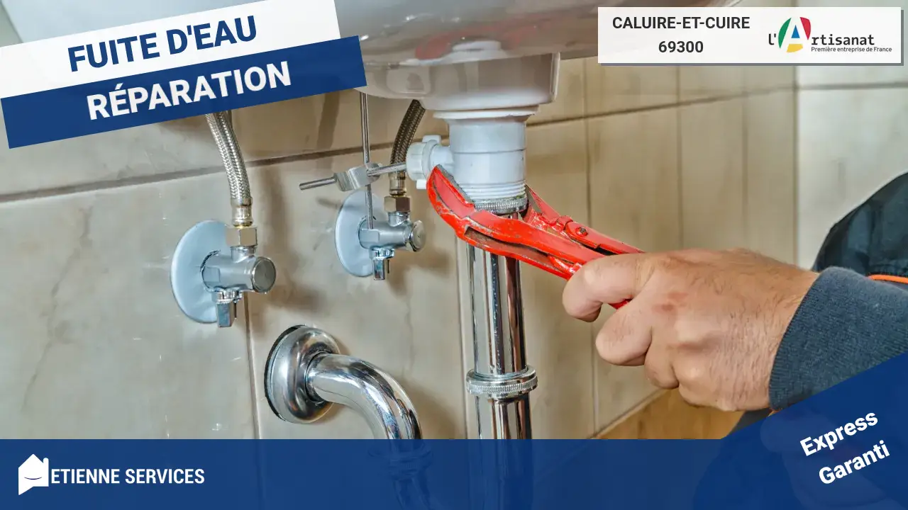 Vos meilleurs artisans pour la réparation de fuite d’eau à Caluire-et-Cuire