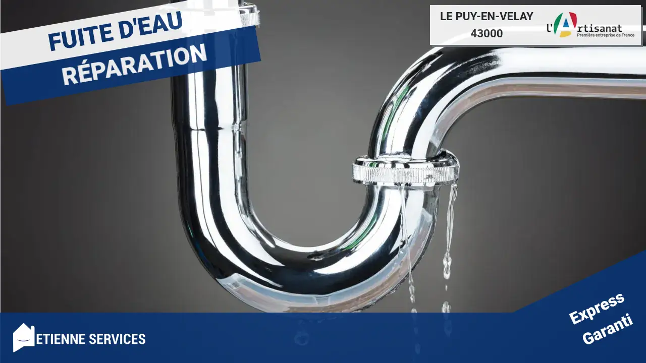 Votre solution de confiance pour la réparation de fuite d'eau au Puy-en-Velay