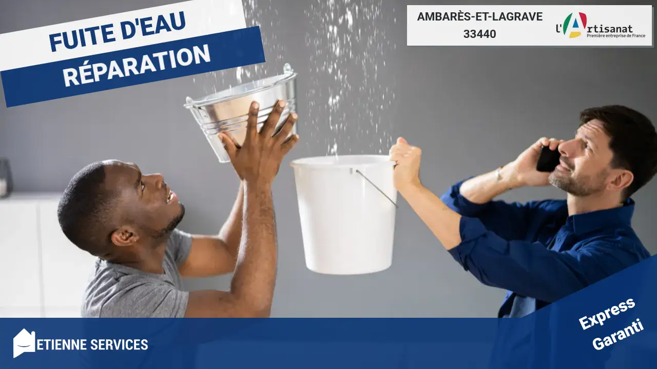Votre meilleur artisan pour la réparation de fuite d'eau à Ambarès-et-Lagrave
