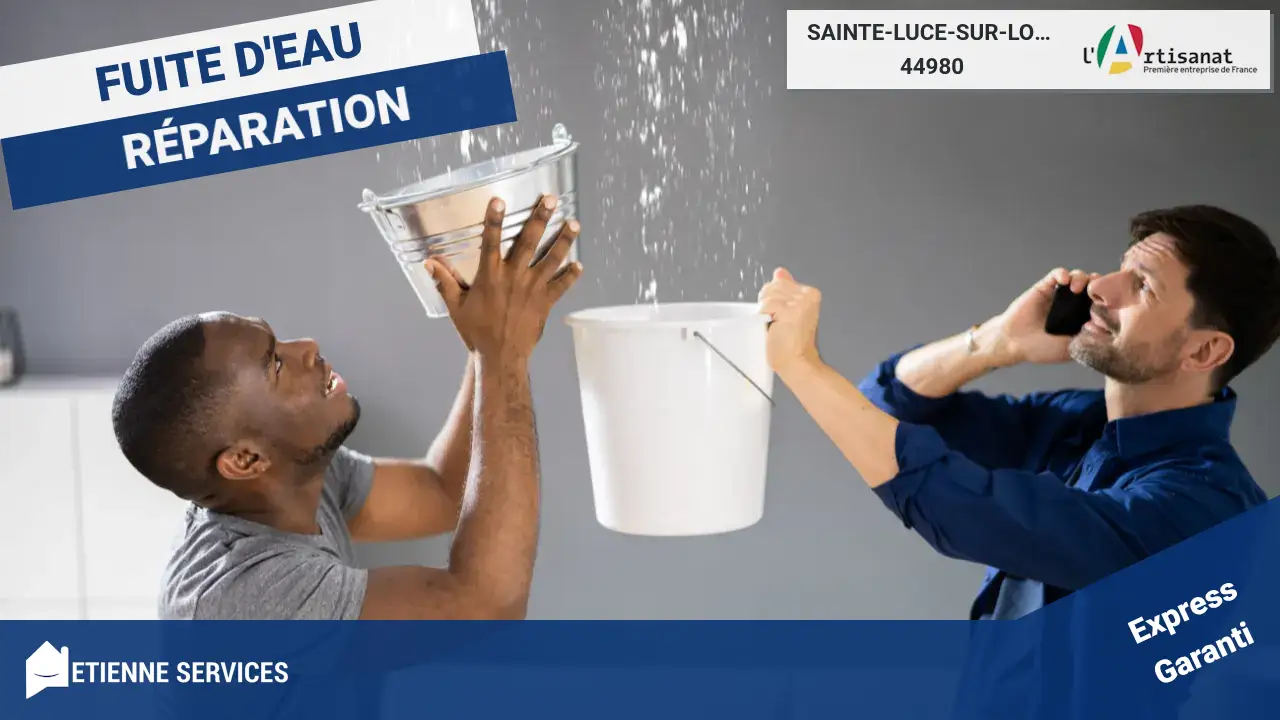 Vos meilleurs artisans pour la réparation de fuite d'eau à Sainte-Luce-sur-Loire